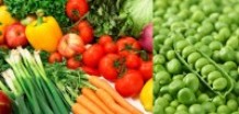 Anwendung für Gemüse- und Sondersaaten